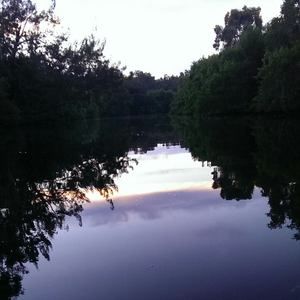 Meet your Posher, Anthony scott